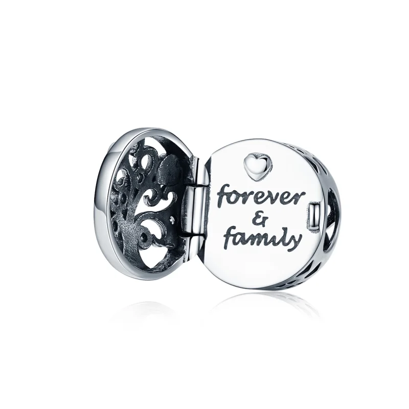 (imagem para) Charm Para sempre e família estilo Pandora - SCC1259