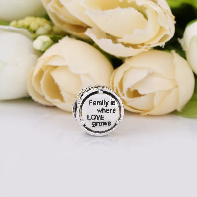 (imagem para) Charm berloques PANDORA Origens Familiares - 797590 - Visualizar 3