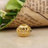 Charm PANDORA Shine Vazado Abelha Reluzente - 767023EN16