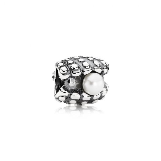 Charm PANDORA de Prata Pérola na Concha - 791134P  Clique na imagem para fechar
