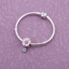 Charm berloques PANDORA Poesia das Flores - 791827EN40