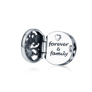 Charm Para sempre e família estilo Pandora - SCC1259 Charm Para sempre e família estilo Pandora - SCC1259