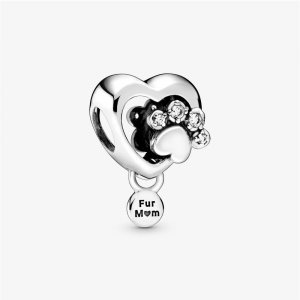 Charm Mãe De Pet - 798873C01