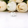 Clipe Folhas cintilantes Pandora - 798345CZ