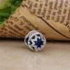 Charm berloques PANDORA Beleza Glacial - 796360NSB