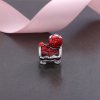 Charm berloques PANDORA Leão Chines - 792043CZ
