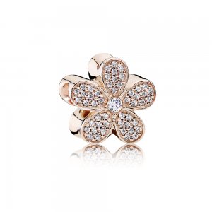 Charm PANDORA ROSE Pavê Brilhante Bem-me-Quer - 781480CZ