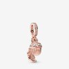Charm Pendente Pandora Rose™ Fruto E Folha De Carvalho - 788248CZ
