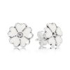 Brinco PANDORA Flores do Campo - 290569EN12