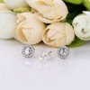 Brinco PANDORA Sentimento Eterno - 297709CZ