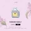 Charm Dois tons Família para sempre estilo Pandora - SCC1330