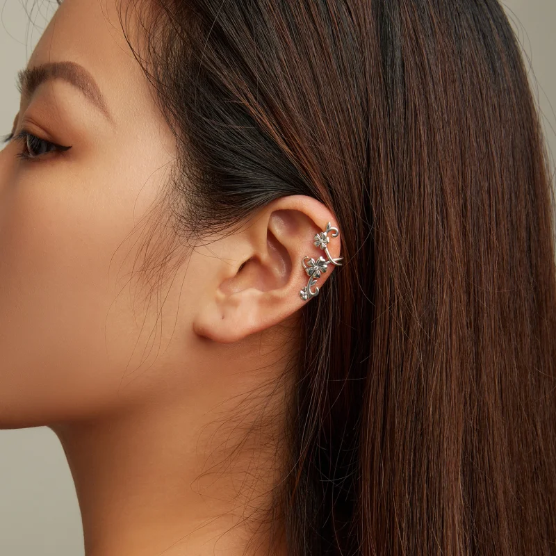 (imagem para) Pandora Style Pattern Ear clip - SCE1512 - Visualizar 6
