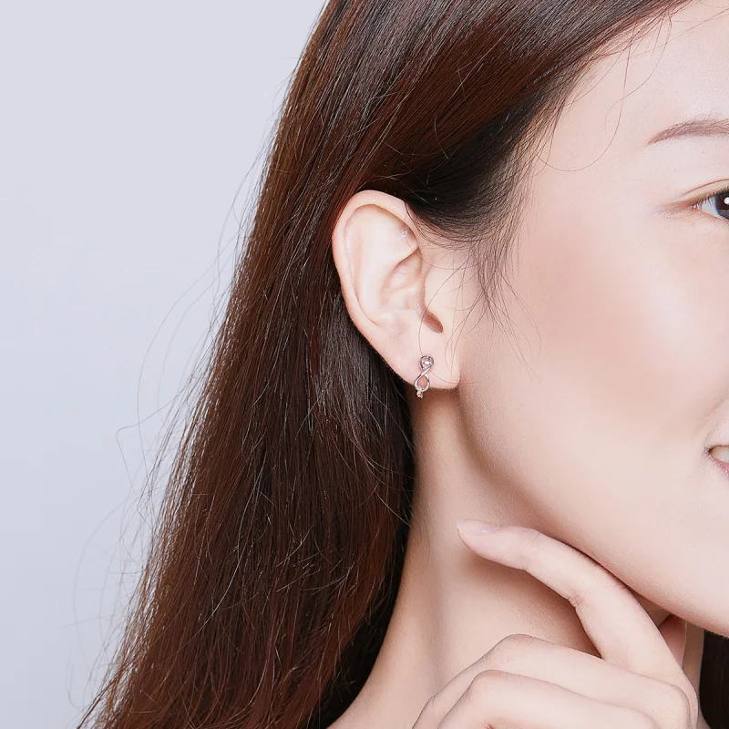 (imagem para) Brinco Argolas Amor infinito estilo Pandora - SCE743 - Visualizar 6