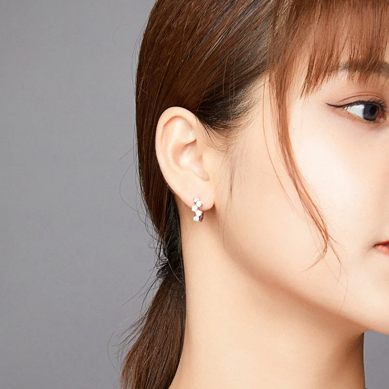 (imagem para) Brinco Argolas Bolhas de sonho estilo Pandora - SCE941 - Visualizar 5