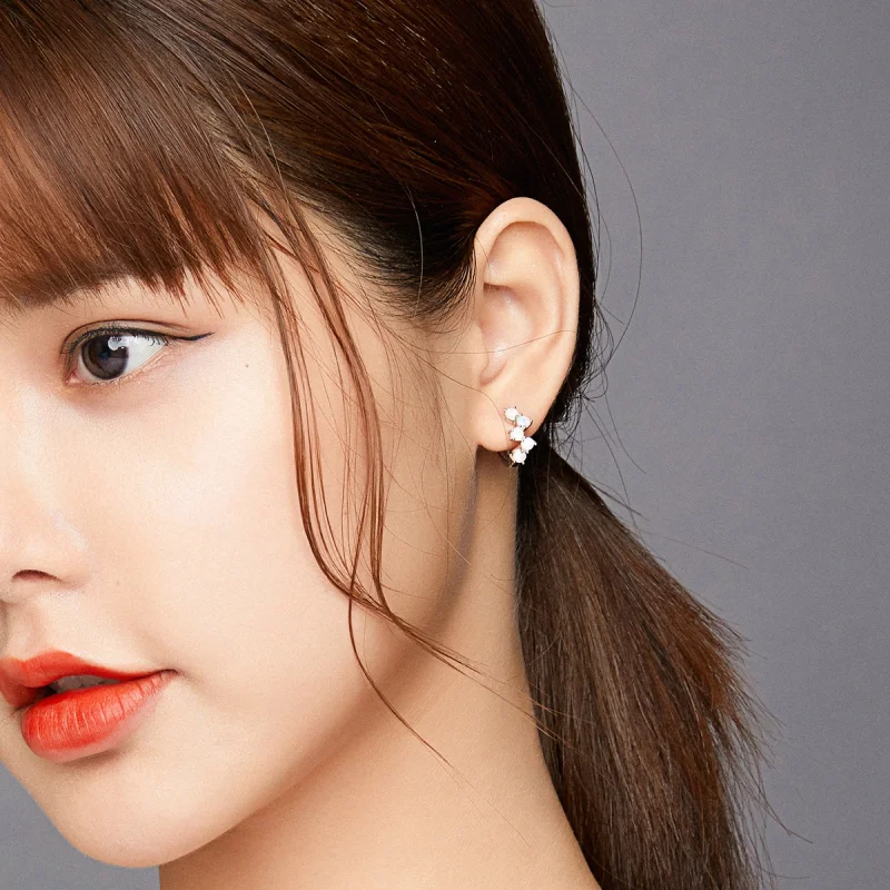 (imagem para) Brinco Argolas Bolhas de sonho estilo Pandora - SCE941 - Visualizar 6