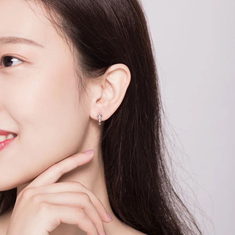 (imagem para) Brinco Argolas Cachorro honesto estilo Pandora - SCE662 - Visualizar 5