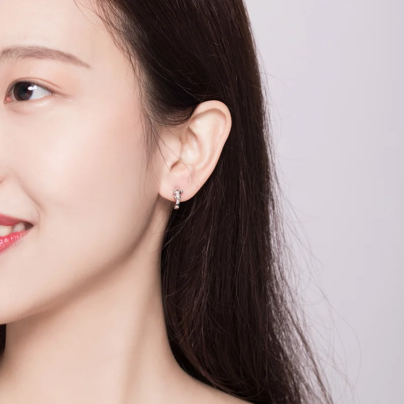 (imagem para) Brinco Argolas Cachorro honesto estilo Pandora - SCE662 - Visualizar 7