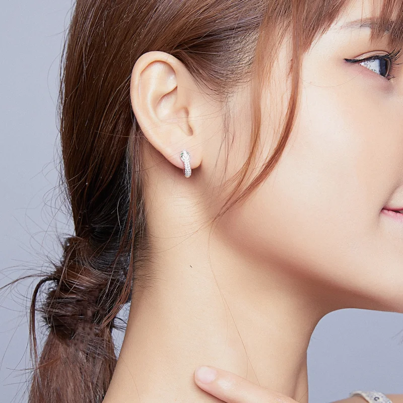 (imagem para) Brinco Argolas Cobra Adorável estilo Pandora - SCE922 - Visualizar 6