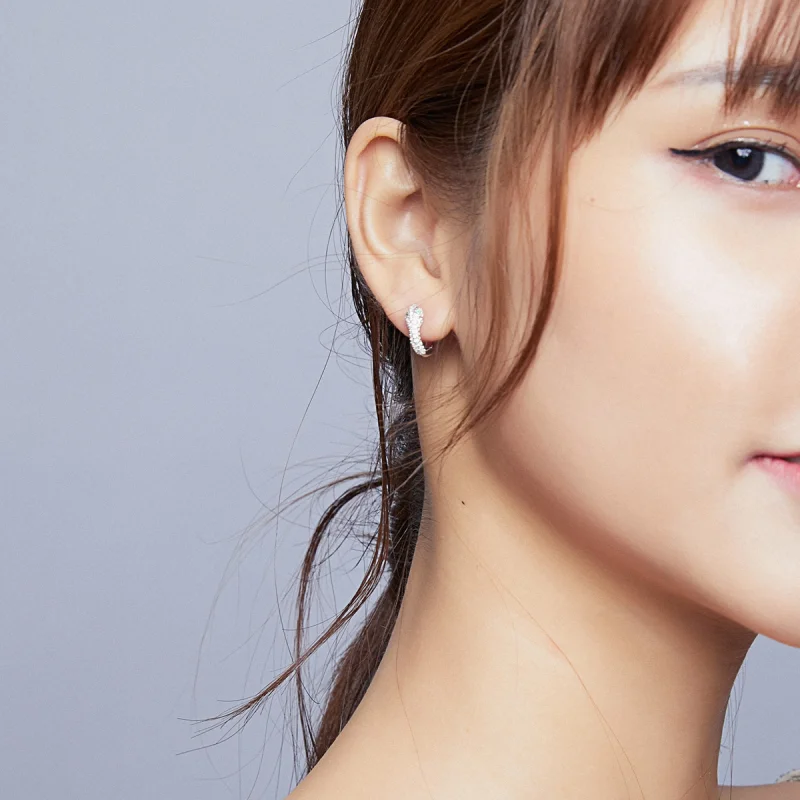 (imagem para) Brinco Argolas Cobra Adorável estilo Pandora - SCE922 - Visualizar 7