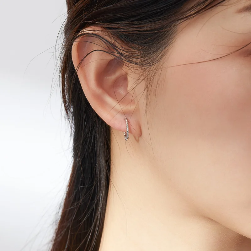 (imagem para) Brinco Argolas Corda de cânhamo circular estilo Pandora - SCE841 - Visualizar 7