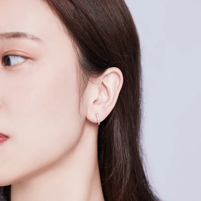 (imagem para) Brinco Argolas Círculo Pequeno estilo Pandora - SCE498-A - Visualizar 5