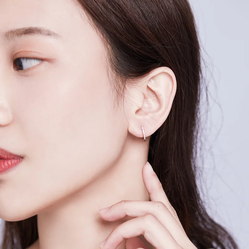 (imagem para) Brinco Argolas Círculo Pequeno estilo Pandora - SCE498-A - Visualizar 6