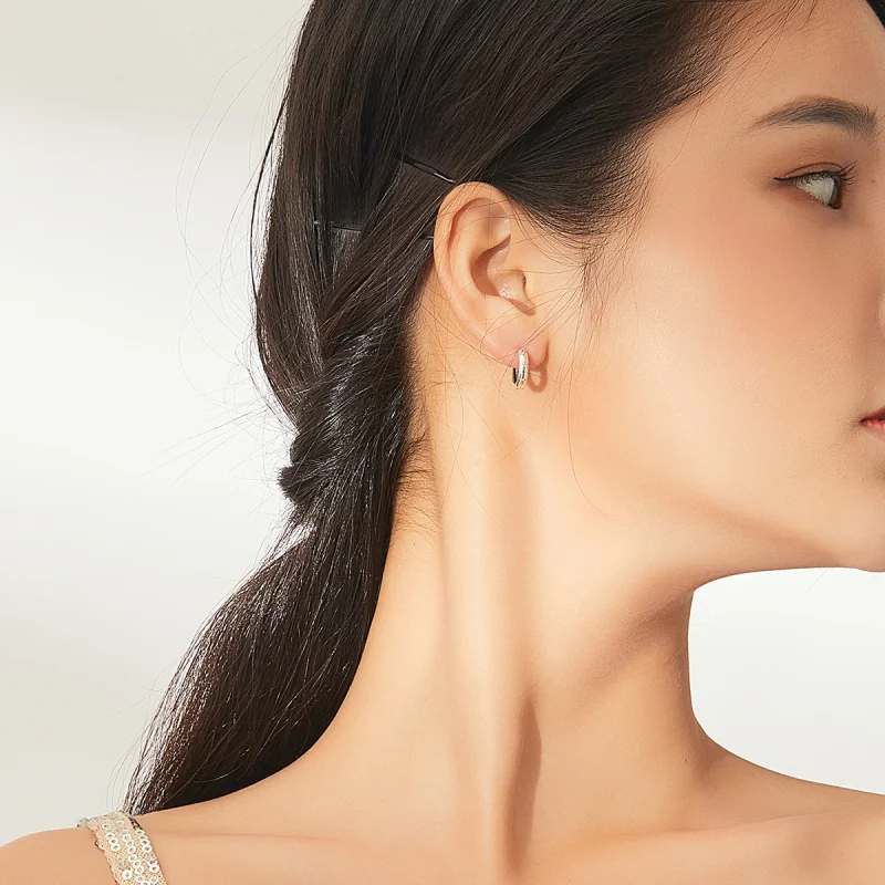 (imagem para) Brinco Argolas Estrelas Antialérgicas estilo Pandora - SCE873 - Visualizar 7