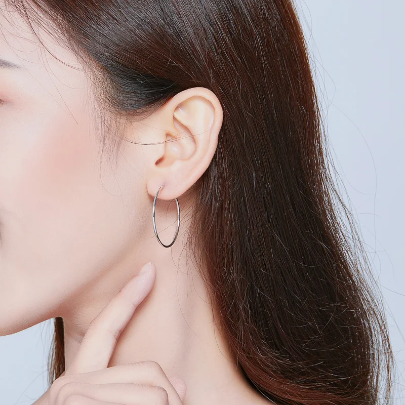 (imagem para) Brinco Argolas Linha Simples estilo Pandora - SCE710 - Visualizar 5