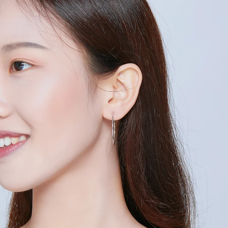 (imagem para) Brinco Argolas Linha Simples estilo Pandora - SCE710 - Visualizar 7