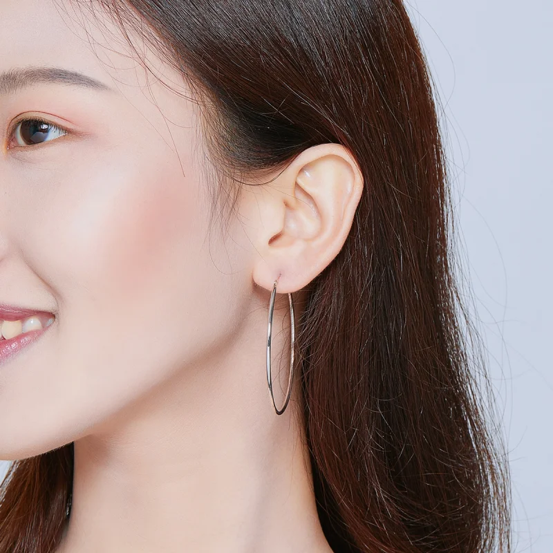 (imagem para) Brinco Argolas Linha Simples estilo Pandora - SCE711 - Visualizar 5