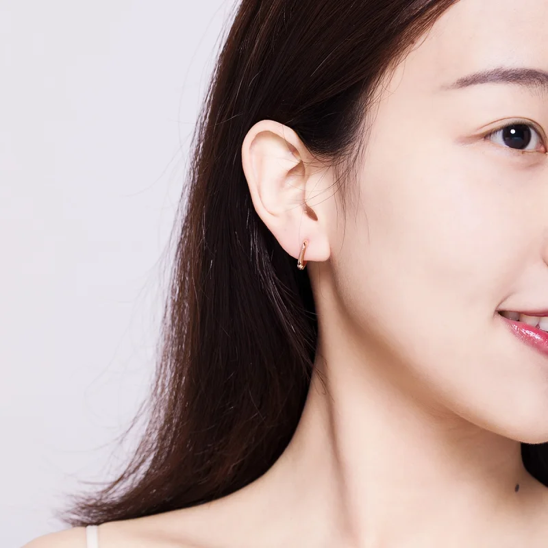 (imagem para) Brinco Argolas Simples estilo Pandora Rosa - BSE119 - Visualizar 7