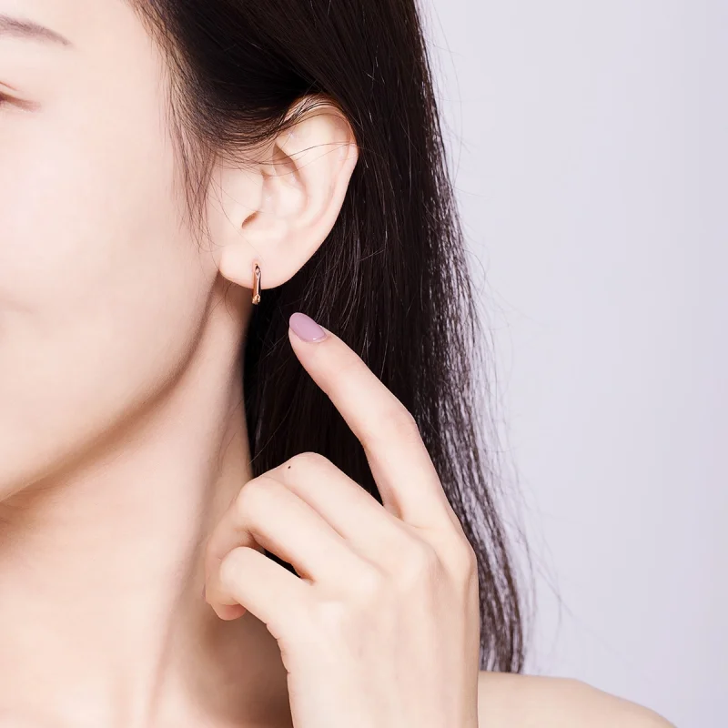(imagem para) Brinco Argolas Simples estilo Pandora Rosa - BSE119 - Visualizar 9