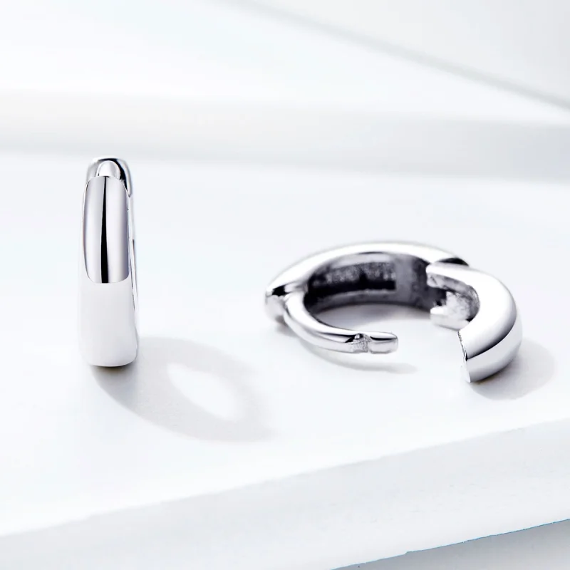 (imagem para) Brinco Argolas Sonho simples estilo Pandora - SCE552 - Visualizar 4