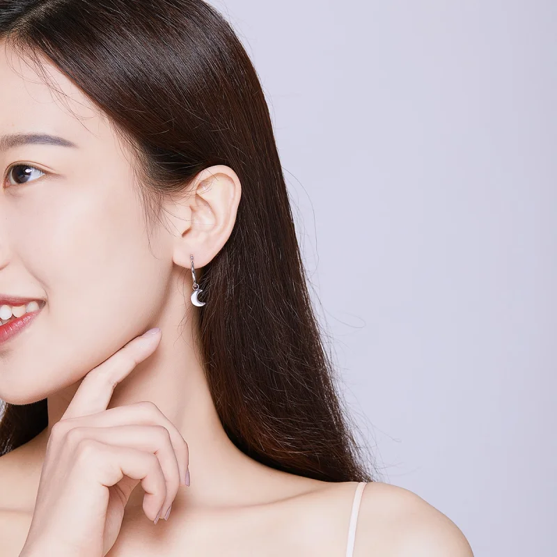 (imagem para) Brinco Estrela e assimetria da lua estilo Pandora - SCE681 - Visualizar 5