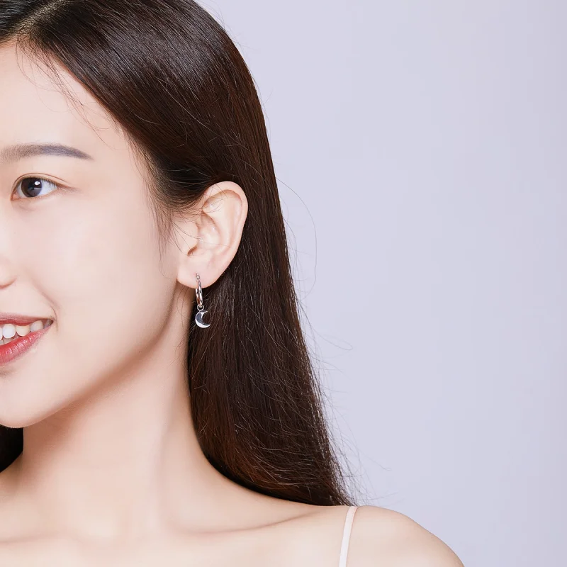 (imagem para) Brinco Estrela e assimetria da lua estilo Pandora - SCE681 - Visualizar 7