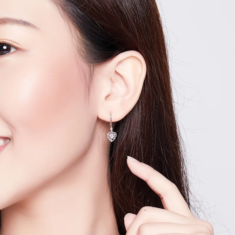 (imagem para) Brinco Formato de coração estilo Pandora - SCE746 - Visualizar 5