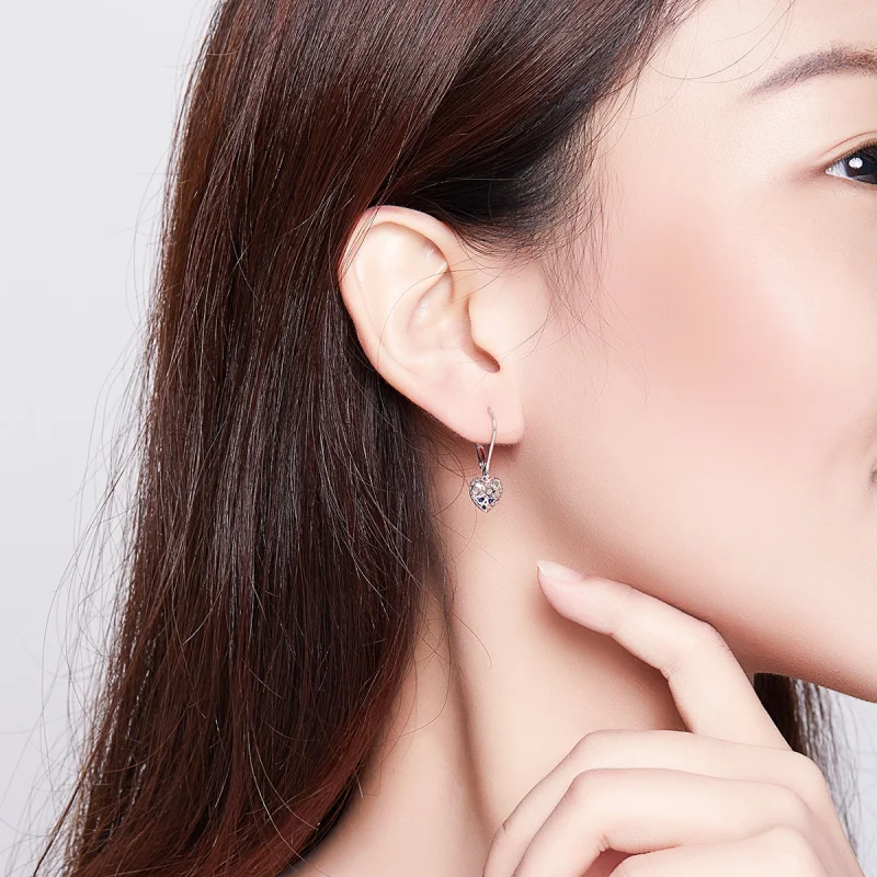 (imagem para) Brinco Formato de coração estilo Pandora - SCE746 - Visualizar 6