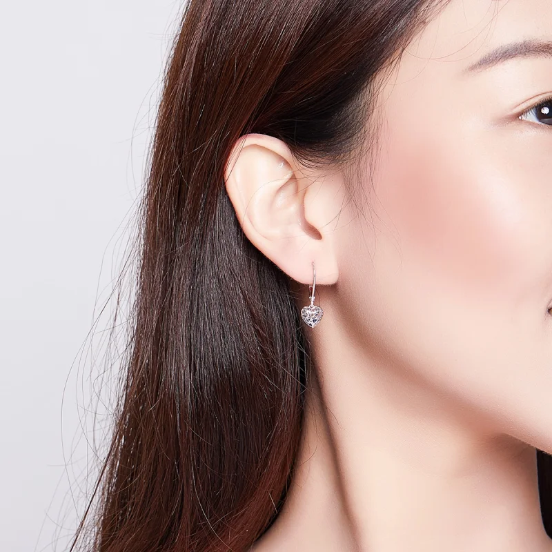 (imagem para) Brinco Formato de coração estilo Pandora - SCE746 - Visualizar 7