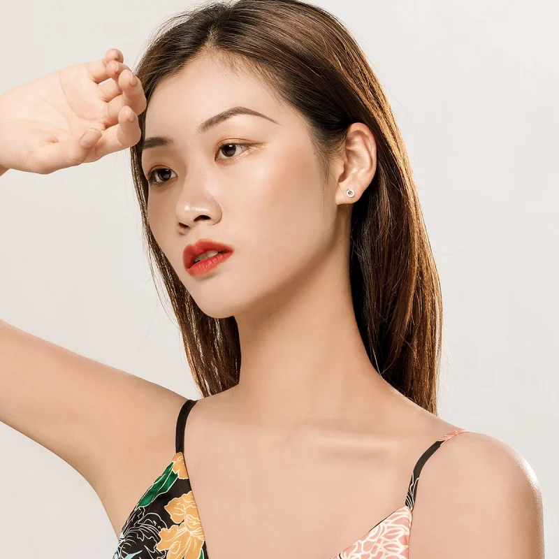 (imagem para) Brincos Petit Círculo Pequeno estilo Pandora - SCE767 - Visualizar 6