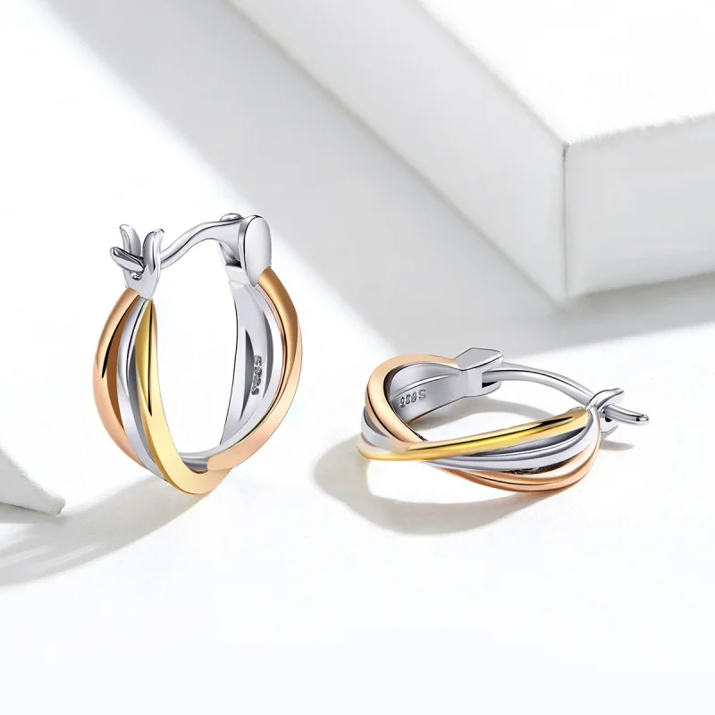 (imagem para) Brincos Petit Dois tons estilo Pandora - SCE719 - Visualizar 2