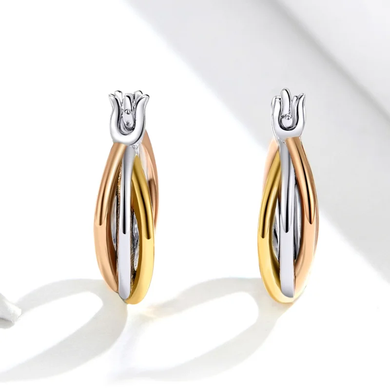 (imagem para) Brincos Petit Dois tons estilo Pandora - SCE719 - Visualizar 4