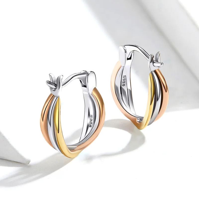 (imagem para) Brincos Petit Dois tons estilo Pandora - SCE719 - Visualizar 5