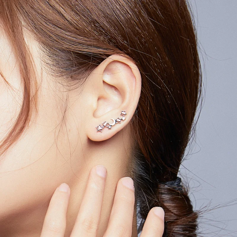 (imagem para) Brincos Petit Estrelas e lua estilo Pandora - SCE926 - Visualizar 5