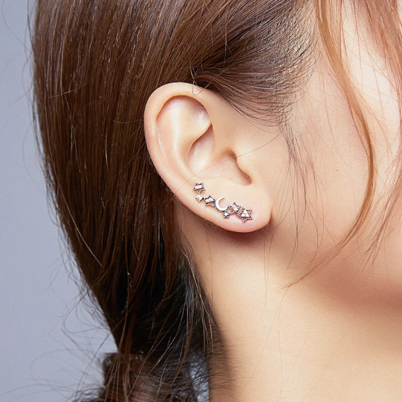 (imagem para) Brincos Petit Estrelas e lua estilo Pandora - SCE926 - Visualizar 7