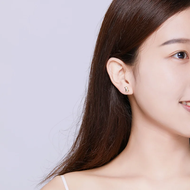 (imagem para) Brincos Petit Filhote de cachorro estilo Pandora - SCE584-C - Visualizar 5