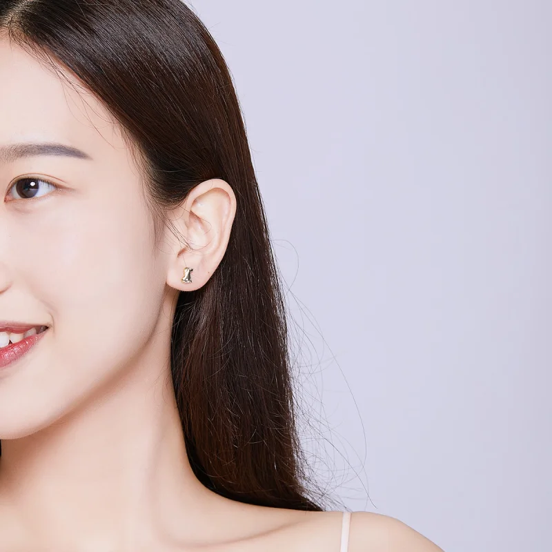 (imagem para) Brincos Petit Filhote de cachorro estilo Pandora - SCE584-C - Visualizar 6