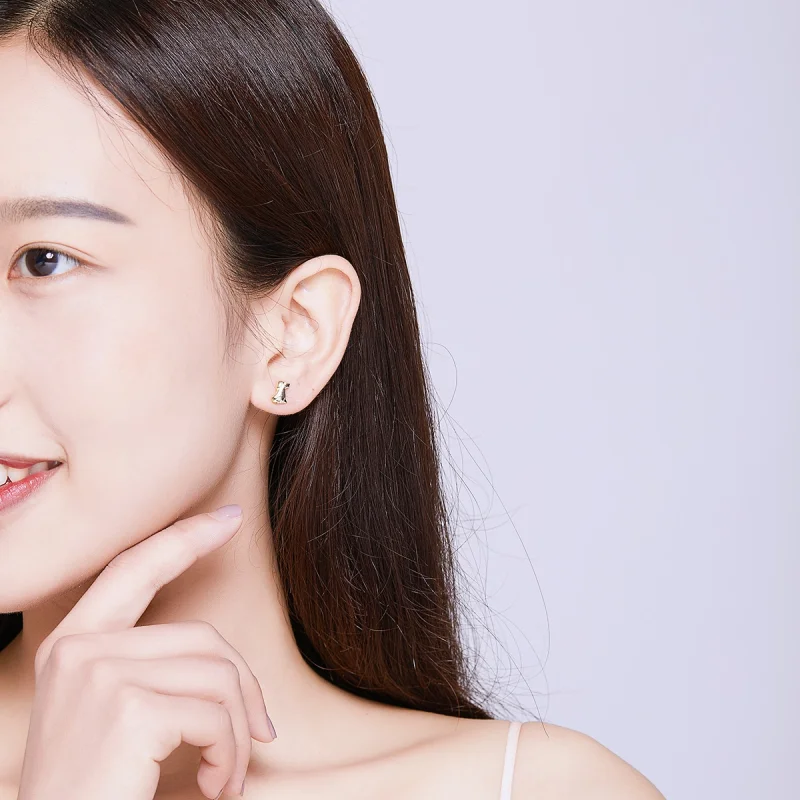 (imagem para) Brincos Petit Filhote de cachorro estilo Pandora - SCE584-C - Visualizar 7