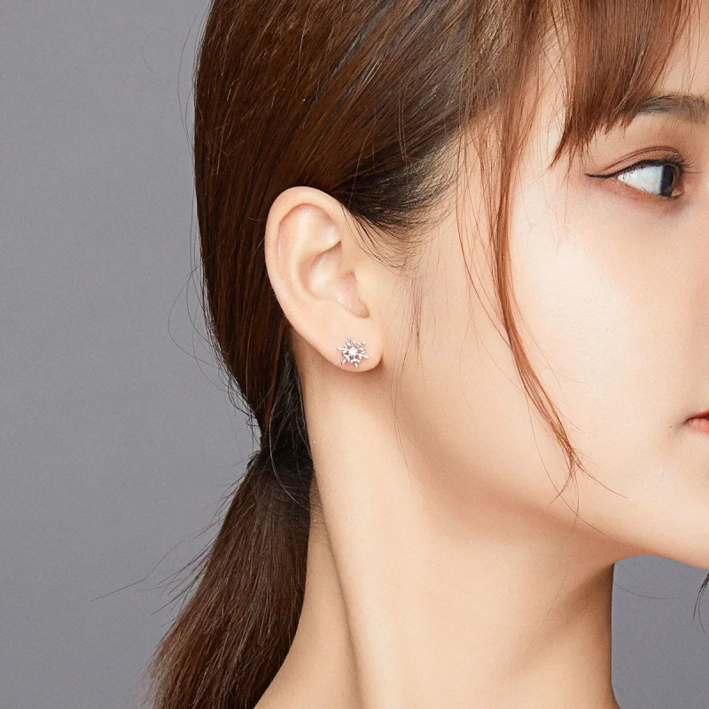 (imagem para) Brincos Petit Flocos De Neve Românticos estilo Pandora - BSE424 - Visualizar 6