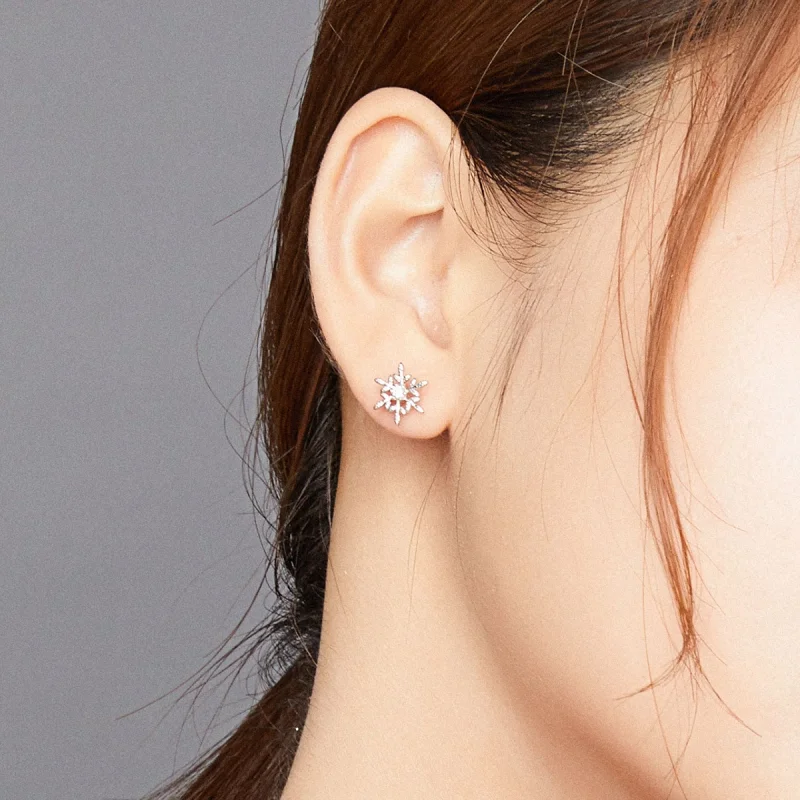 (imagem para) Brincos Petit Flocos De Neve Românticos estilo Pandora - BSE424 - Visualizar 8