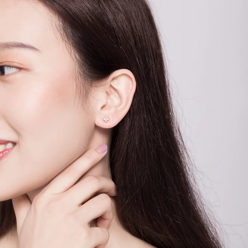 (imagem para) Brincos Petit Flor de luz estilo Pandora - SCE648 - Visualizar 5